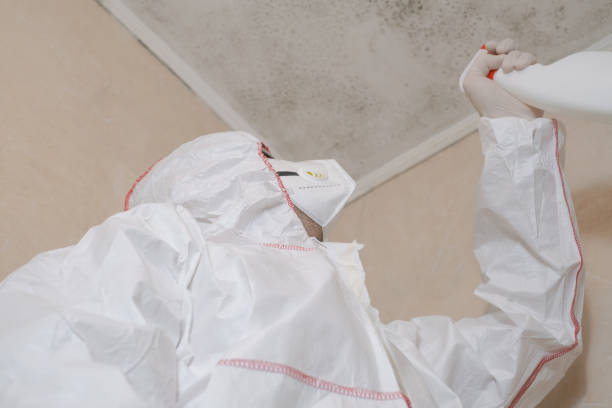 Water Damage Restoration in Shady Side, MD